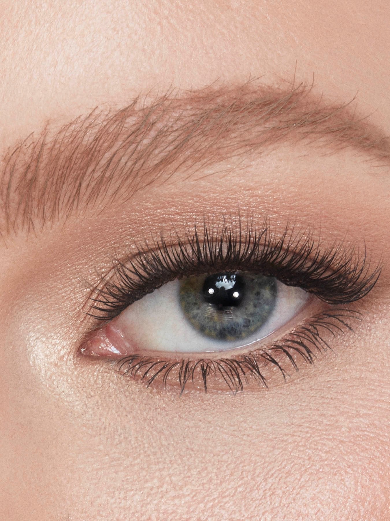 Legendary Brows