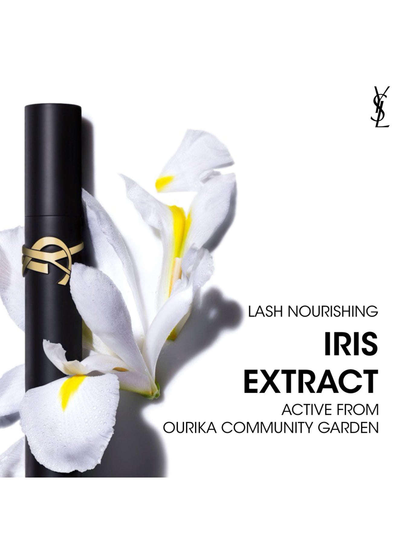 Lash Clash & Loveshine Luxe Makeup Set